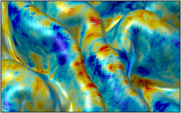 Facewise data. https://brainder.org/download/areal